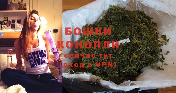 ПСИЛОЦИБИНОВЫЕ ГРИБЫ Беслан