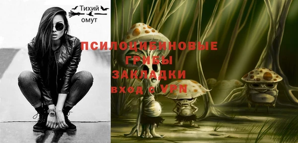ПСИЛОЦИБИНОВЫЕ ГРИБЫ Беслан