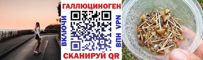 Псилоцибиновые грибы мухоморы  Жердевка 